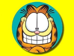 Garfield Hidden Stars Search