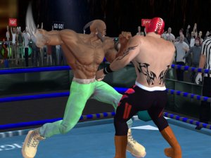 Boxing Champion Arena Sports