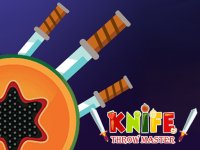 Knife Throw Master Online Game Arcade Game